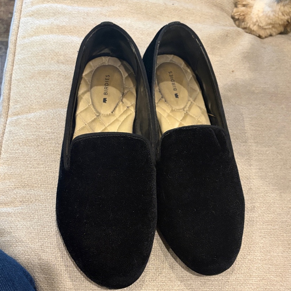 Birdies Black Velvet Women's Loafers